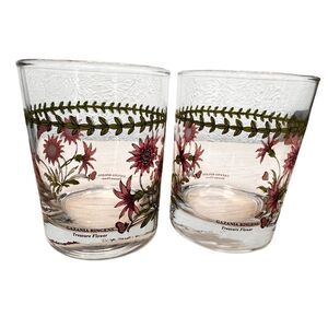 Set of 2 Portmeirion Botanic Garden Treasure Flower 12 Oz Glasses